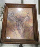 buck framed print