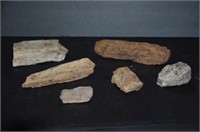Lot of 6 Pieces of Petrified Wood