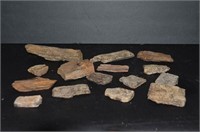 Lot of 15 Pieces of Petrified Wood