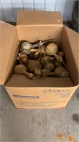 Box Full of Gourds