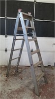 COMBINATION STEP/ EXTENSION LADDER