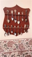 14 count spoon display 10 x12