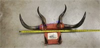 vintage Bull Horns