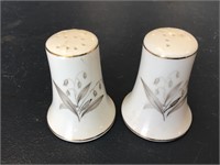 Salt & pepper shaker set