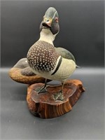 Wood Duck Carving by C.P. Morrow Woodlawn,Tn