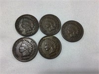Five 1907 Indian head cents