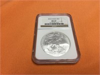 Graded MS69 2010 US silver eagle