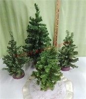 Small Christmas tree lot