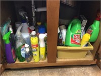 Contents of cabinet, cleaning supplies