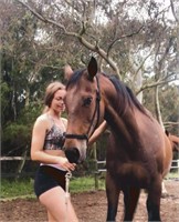 (NSW): PEACH - Stock Horse Mare
