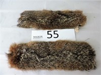 Racoon Tail Pelts