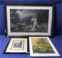 Framed Pictures - Quadros
