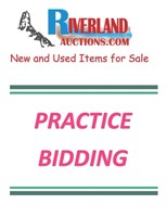 PRACTICE BIDDING LOT