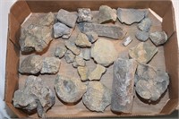 FOSSIL & ROCK COLLECTION ! -X-7