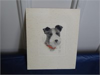 Terrier Print / etching by Sickels - Sought After