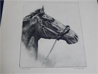 Whirlaway Etching by Palenski - Uncommon
