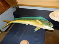 Taxidermy Dolphin Fish (Mahi Mahi)