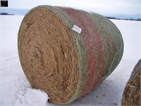 1 combined Timothy grass bale