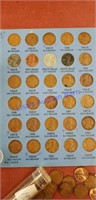 Wheat penny collection