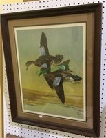 Audubon Society framed and matted print - vintage