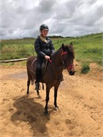 (VIC): TILLY - Australian Pony Mare