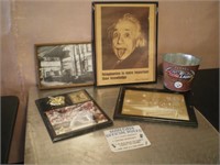 Albert Einstein, The Gardens, Pool Room and Others