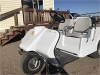 Harley Davidson 2 seat golf cart