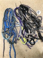 Tag #320 Bundle of Halters and Lead
