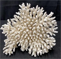 Coral approx “7”x”10”x”9”