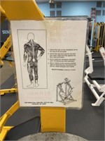 Hammer Strength Lateral Behind the Neck Press