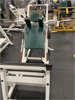 Body Master Shoulder Press Rack