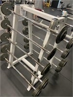 Straight Bar Rack with ALL Weights