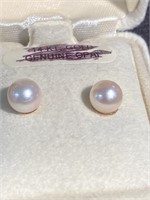 14 karat post pearl stud earrings