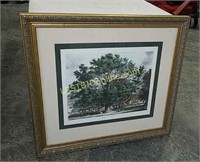 Framed Art print (The Great Ash at Woburn Park)