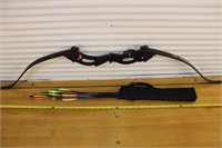 PSE bow with arrows