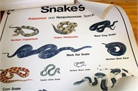 TWO US Army snake identification charts/posters