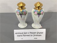 Hand Painted Porcelain S&P Shakers