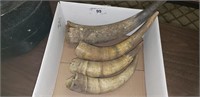 Box of Horns - approx. 10" to 14"