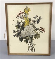 Antique Botanical Print in Old Frame
