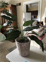 Fake House Plant in Basket
