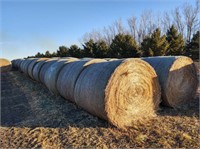 30 - 2020 Grass Hay Bales