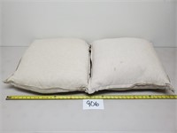 2 Crate & Barrel Natural Pillows with Down Insert