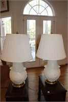 Pair Lamps Asian style porcelain w/ brass