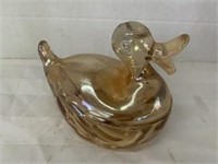 cover glass dish- duck