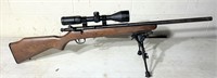 Savage 17 caliber rifle with scope