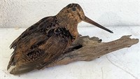 Mounted woodcock