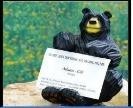 New Bear Business Card Holder
