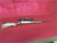 Savage Model 110 30-06 Rifle w/ Scope