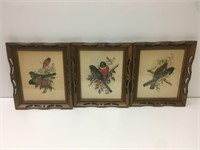 Three Framed Bird Pictures