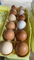 3 Doz Assorted Size & Color Eating Eggs